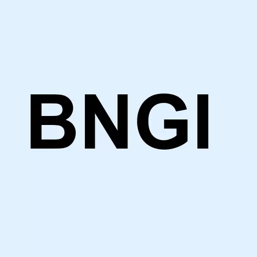 Bangi Inc Logo