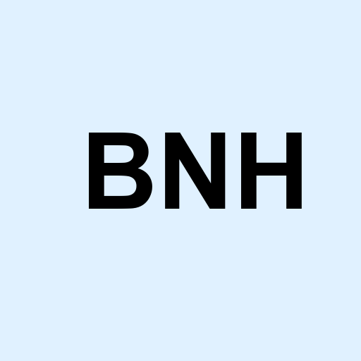 Stock bnh logo