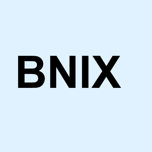 Stock bnix logo