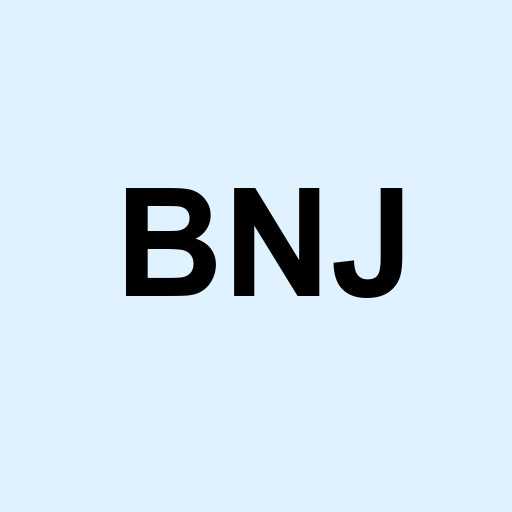 Stock bnj logo