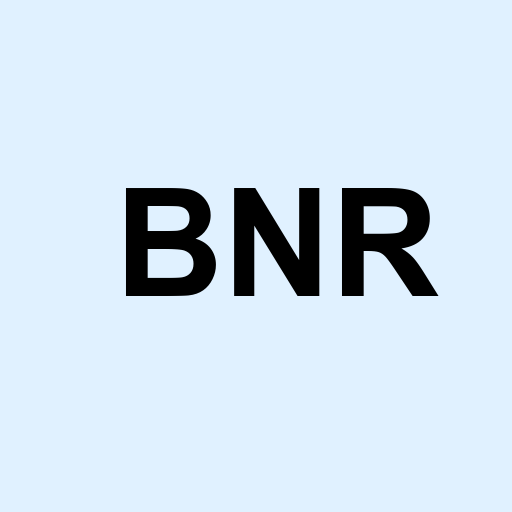 Stock bnr logo