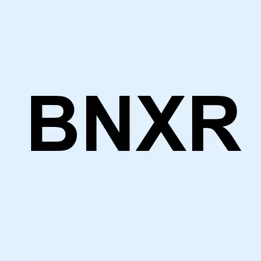 Brinx Resources Ltd. Logo