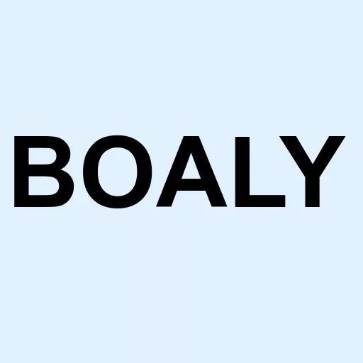 Boral Ltd ADR Logo