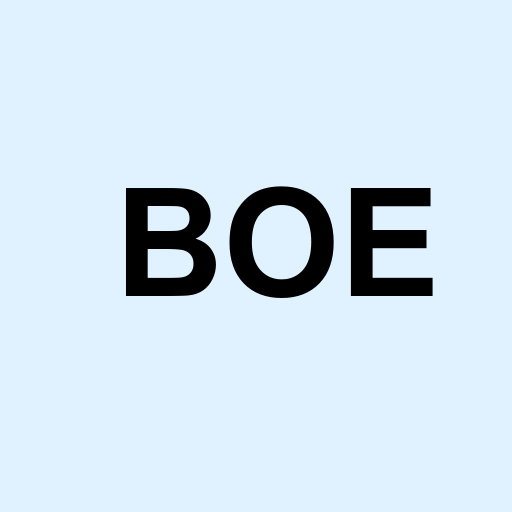 Stock boe logo