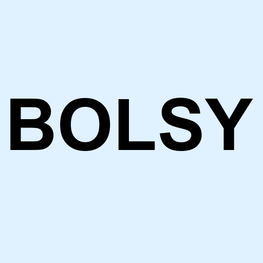 Stock bolsy logo