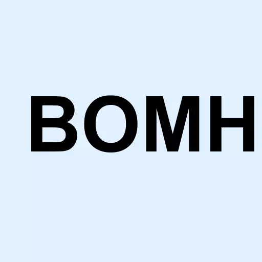 Boomer Holdings Inc - Ordinary Shares Logo