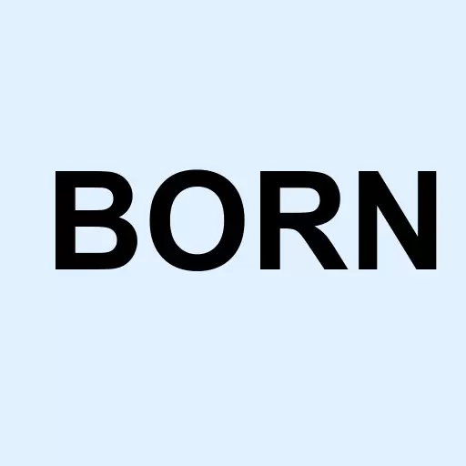 China New Borun Corporation American Depositary Shares Logo