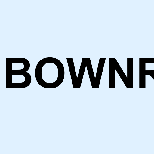 Stock bownr logo