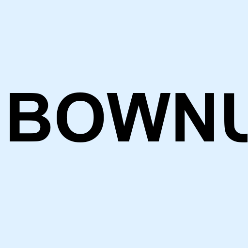 Stock bownu logo
