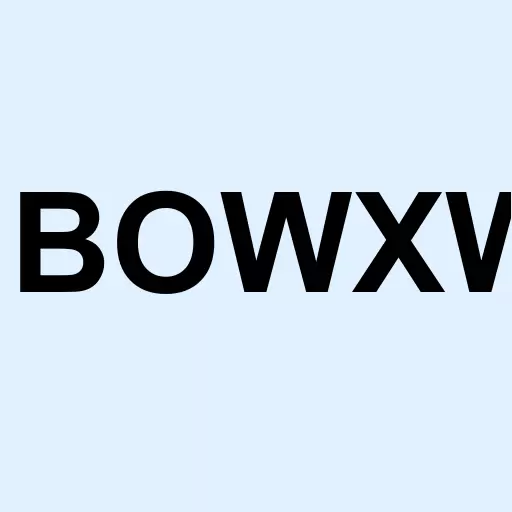 BowX Acquisition Corp. Warrant Logo