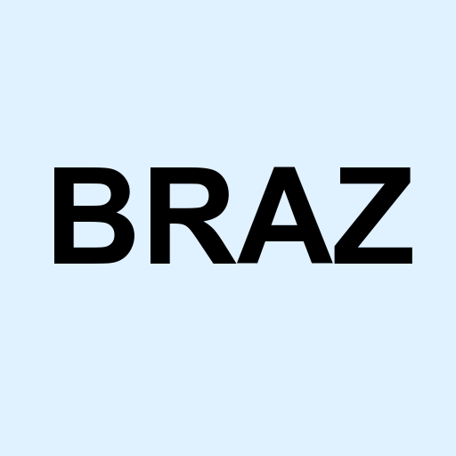Stock braz logo