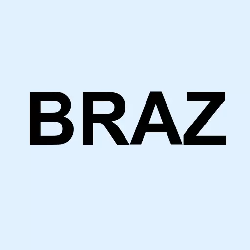 Global X Brazil Mid Cap Logo