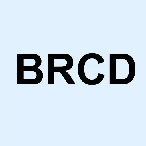 Brocade Communications Systems Inc. Logo