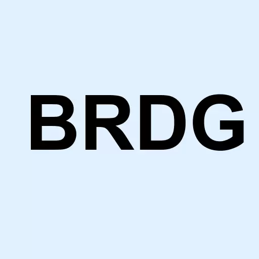 Bridge Investment Group Holdings Inc. Class A Logo