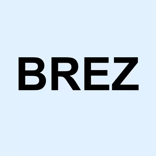 Breeze Holdings Acquisition Corp. Logo