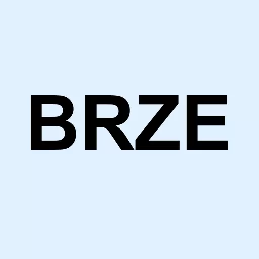 Braze Inc. Logo
