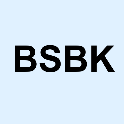 Stock bsbk logo
