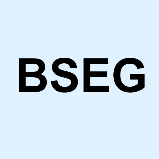 Stock bseg logo