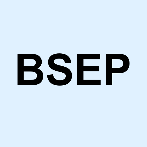 Stock BSEP logo