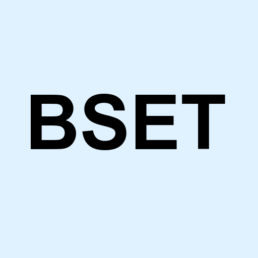 Stock bset logo