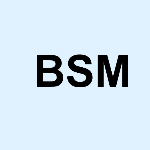 Stock bsm logo