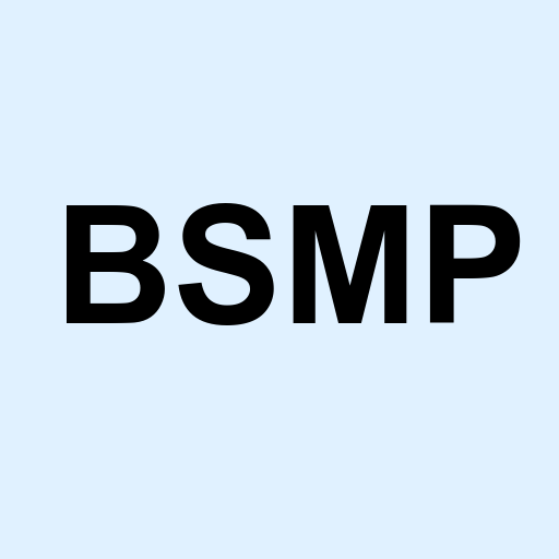 Stock bsmp logo