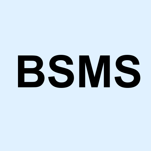 Stock BSMS logo