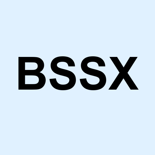 Stock bssx logo
