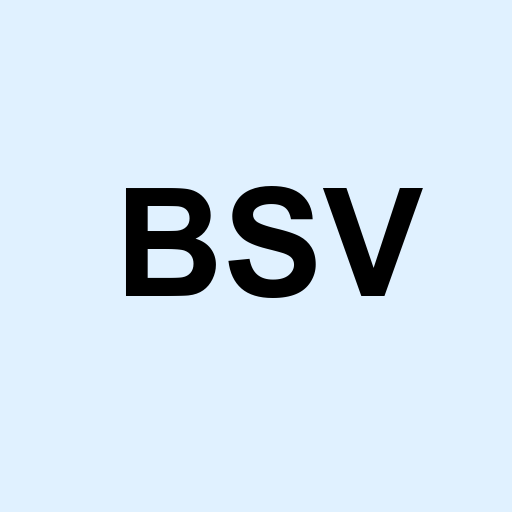 Stock bsv logo