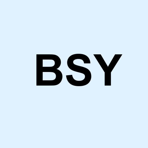 Stock bsy logo
