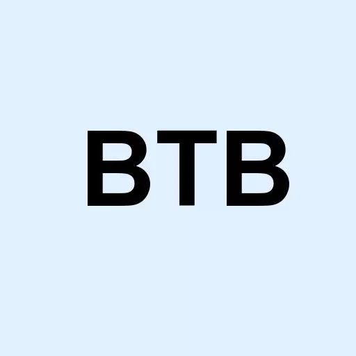 Bit Brother Ltd Ord Logo