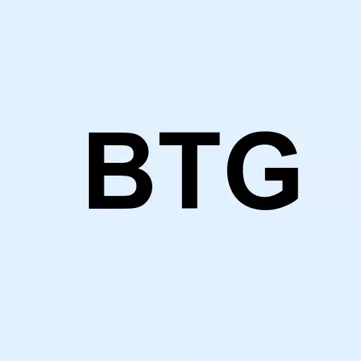 B2Gold Corp Logo