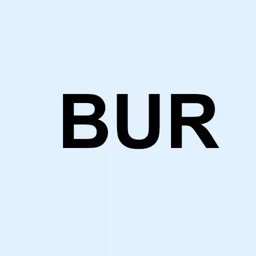 Burford Capital Limited Logo