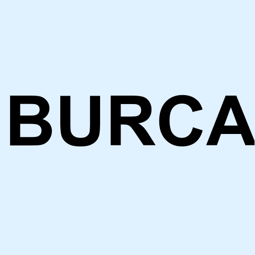 Stock burca logo