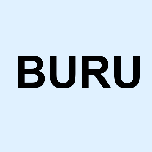 Stock buru logo