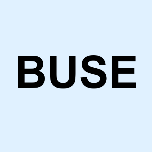 Stock buse logo