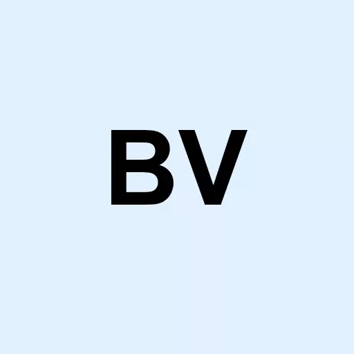 BrightView Holdings Inc. Logo