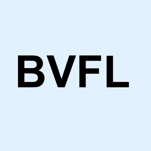 BV Financial Inc Logo