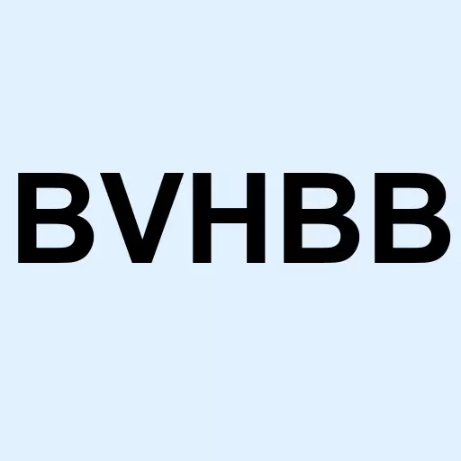 Bluegreen Vacations Holding Corporation - Class B Logo