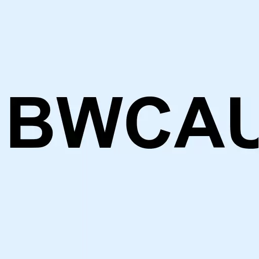 Blue Whale Acquisition Corp I Unit Logo