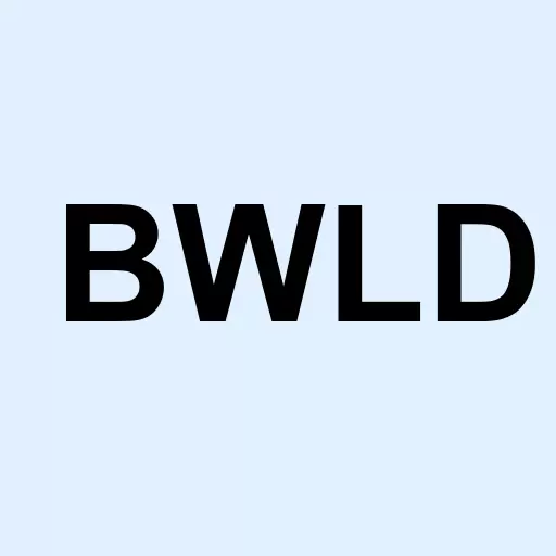 Buffalo Wild Wings Inc. Logo
