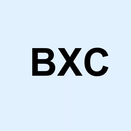 Bluelinx Holdings Inc. Logo