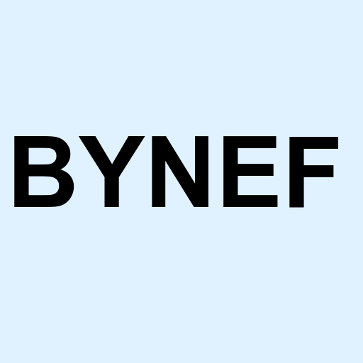 Stock bynef logo