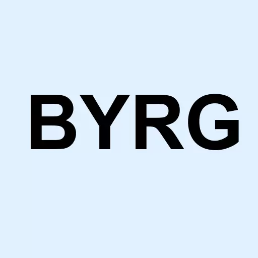 Buyer Group Intl Inc Logo