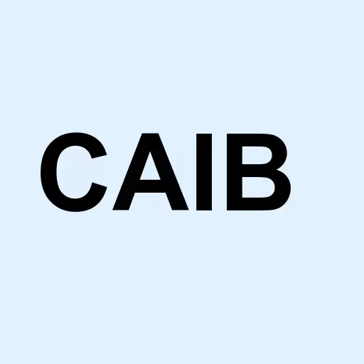 California International Bank NA Logo