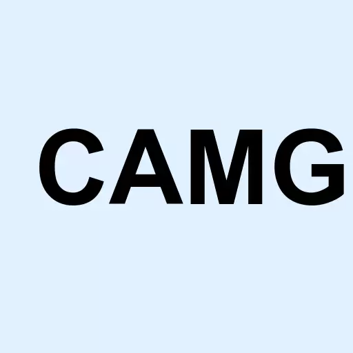 Cam Group Inc Logo