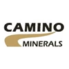 Camino Minerals Corp Logo