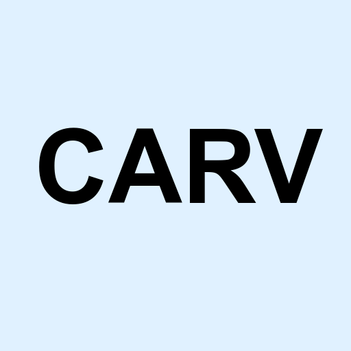 Stock carv logo