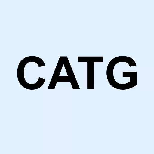 Capstone Technologies Group Inc Logo