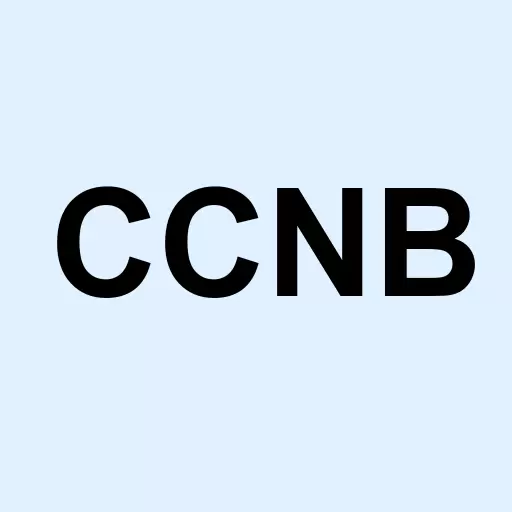 Coastal Carolina Bancshares Inc Logo